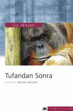 Tufandan Sonra