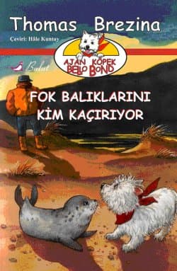 Fok Balıklarını Kim Kaçırıyor