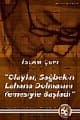 Olaylar, Sağbekin Lahana Dolmasını Yemesiyle Başladı