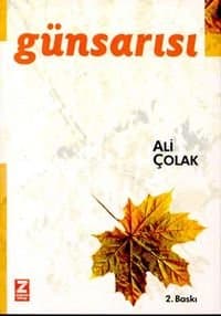 Günsarısı