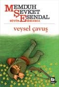 Veysel Çavuş