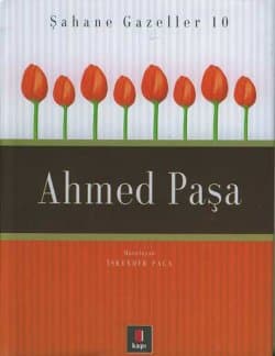 Ahmed Paşa (Şahane Gazeller, #10)