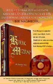 Kırık Mızrap