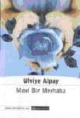 Mavi Bir Merhaba