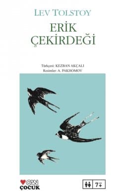 Erik Çekirdeği