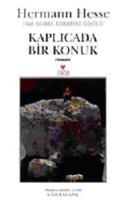 Kaplıcada Bir Konuk