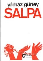 Salpa