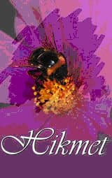 Hikmet