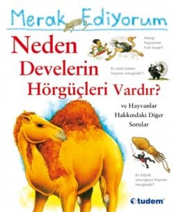 Merak Ediyorum Neden Develerin Hörgüçleri Vardır?