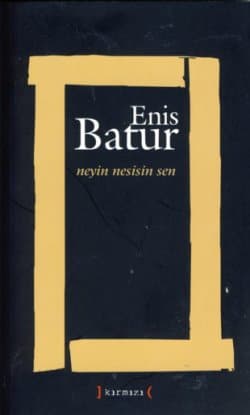 Neyin Nesisin Sen