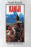 Kanije Muhasarası