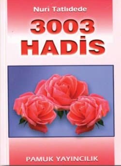 3003 Hadis