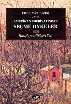 Amerikan Edebiyatından Seçme Öyküler