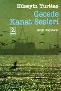 Gecede Kanat Sesleri