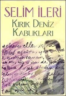 Kırık Deniz Kabukları