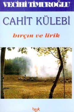 Hırçın ve Lirik