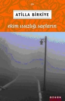 Ekim Issızlığı Saçların