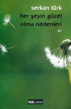 Her Şeyin Güzel Olma Nedenleri