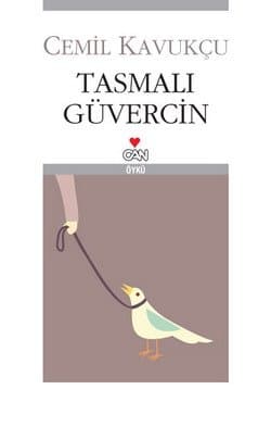 Tasmalı Güvercin