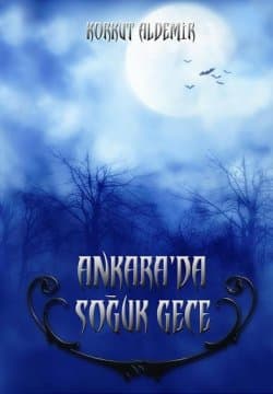 Ankara'da Soğuk Gece