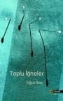 Toplu İğneler