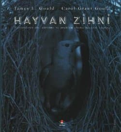 Hayvan Zihni