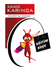 Kırmızı Karınca (Eğitim Koçu)