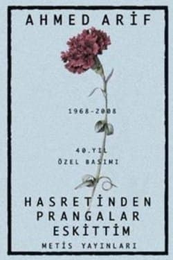 Hasretinden Prangalar Eskittim
