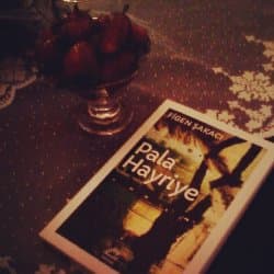 Pala Hayriye