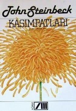 Kasımpatları