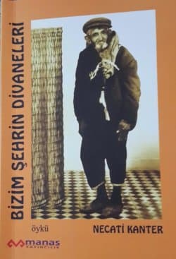 Bizim Şehrin Divaneleri