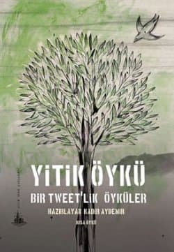 Yitik Öykü