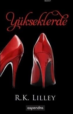 Yükseklerde (Up in the Air #2)