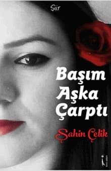 Başım Aşka Çarptı