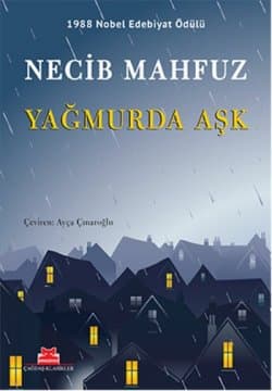 Yağmurda Aşk