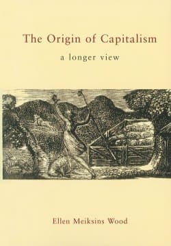 The Origin of Capitalism a longer view