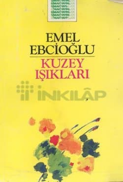 Kuzey Işıkları