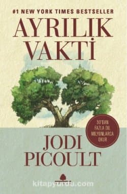 Ayrılık Vakti
