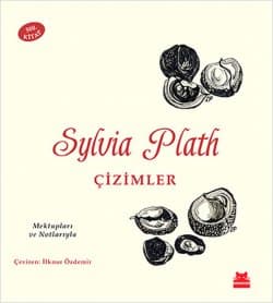 Çizimler