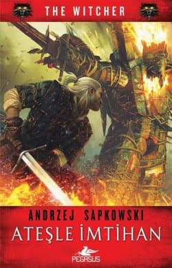 Ateşle İmtihan (The Witcher, #5)
