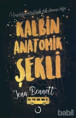 Kalbin Anatomik Şekli