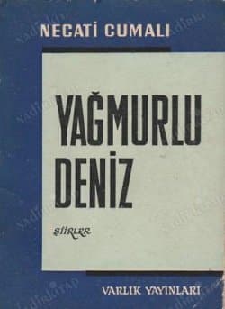 Yağmurlu Deniz
