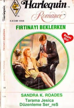 Fırtınayı Beklerken