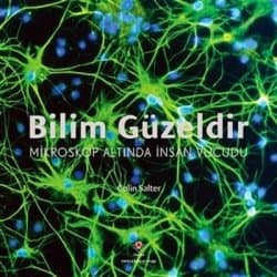 Mikroskop Altında İnsan Vücudu