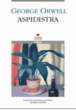 Aspidistra