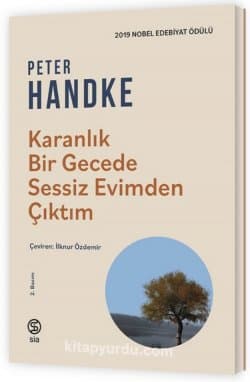 Karanlık Bir Gecede