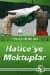 Hatice`ye Mektuplar