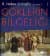 Göklerin Bilgeliği