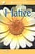 Hazreti Hatice