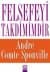 Felsefeyi Takdimimdir